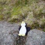 Ben Nevis is not for little penguins