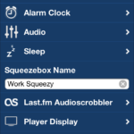 Player Settings