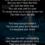 Lyrics View