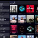 List of Albums on iPad